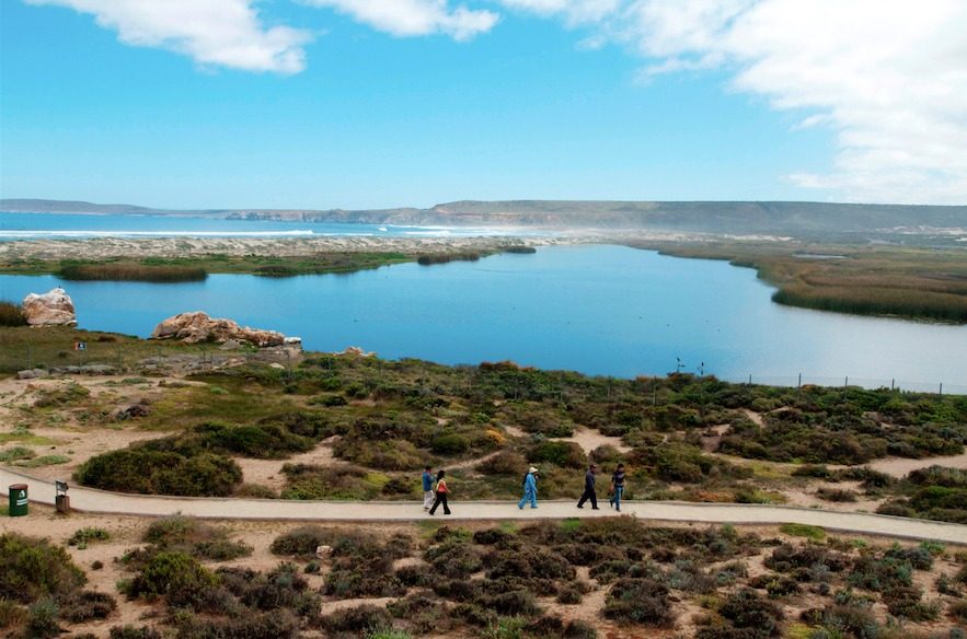 Los Vilos y Los Molles — imagen 6
