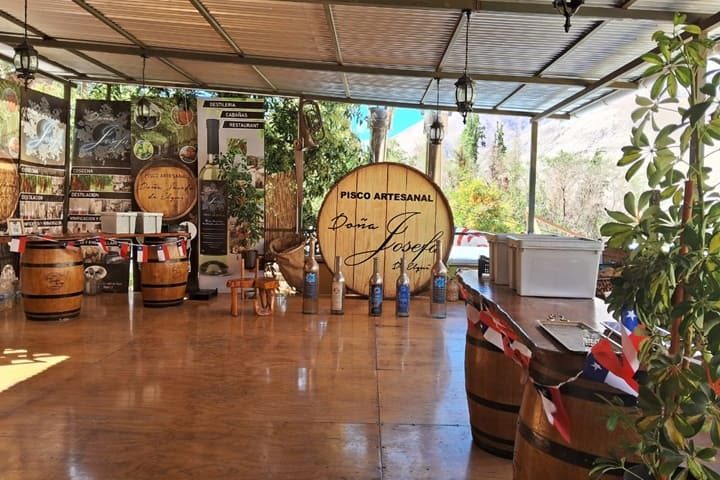 Valle del Elqui — imagen 7