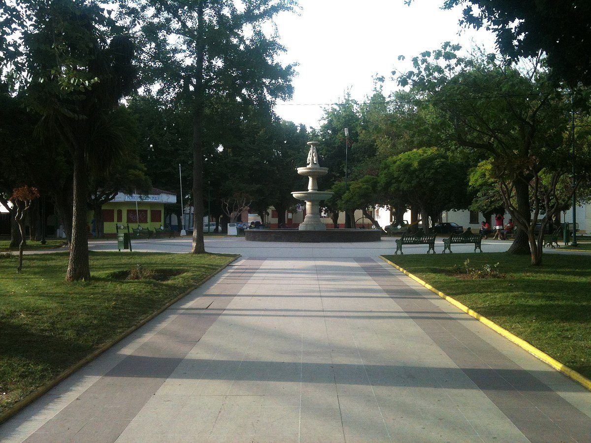 Limache — imagen 3
