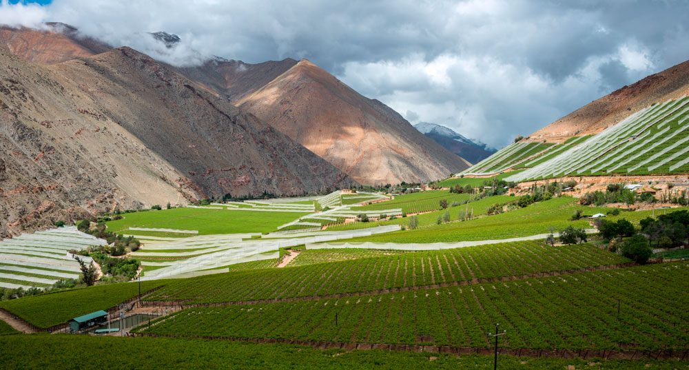 Valle del Elqui